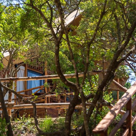 Camping Lacona Pineta Capoliveri  Εξωτερικό φωτογραφία