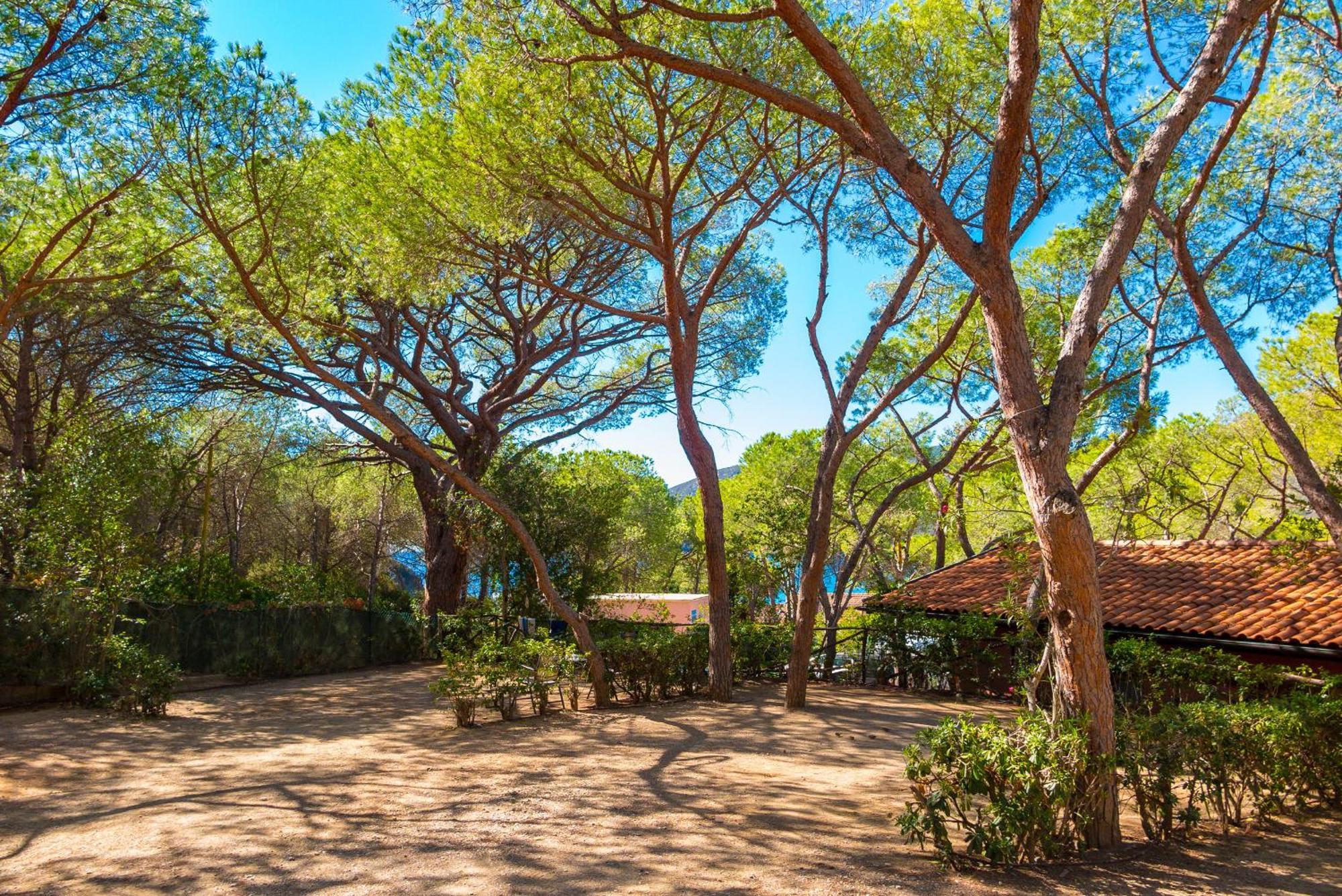 Camping Lacona Pineta Capoliveri  Εξωτερικό φωτογραφία