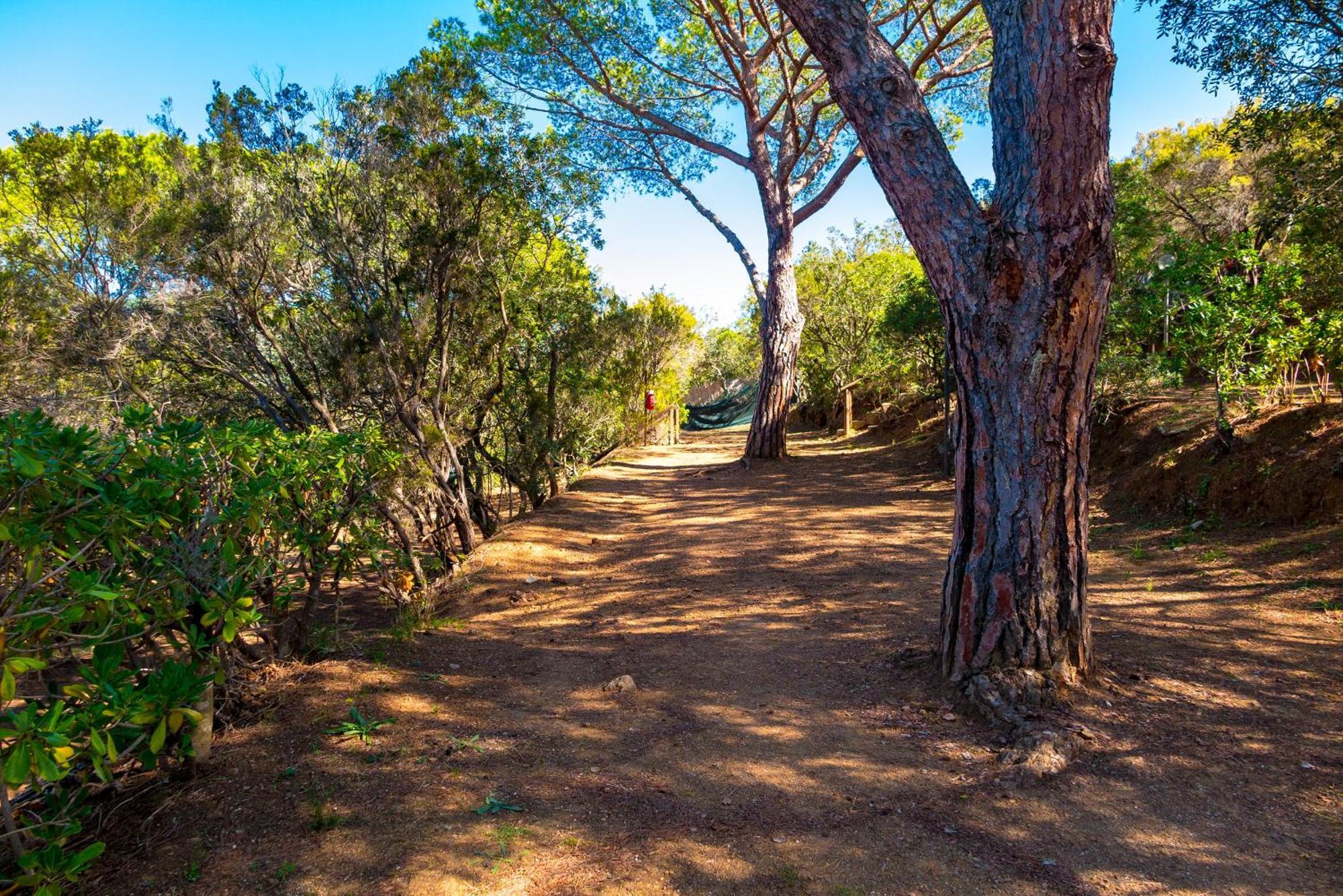 Camping Lacona Pineta Capoliveri  Εξωτερικό φωτογραφία