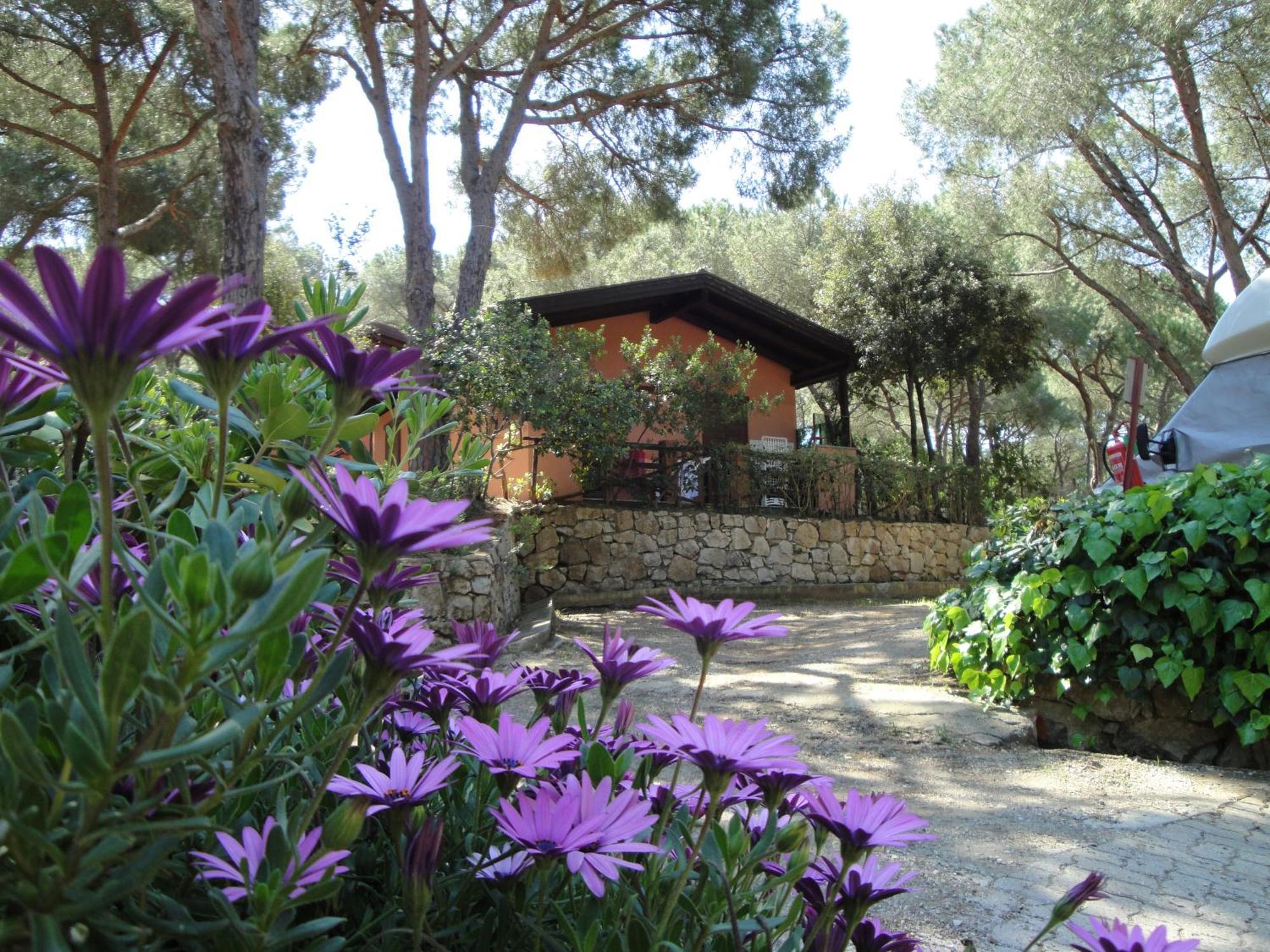 Camping Lacona Pineta Capoliveri  Εξωτερικό φωτογραφία