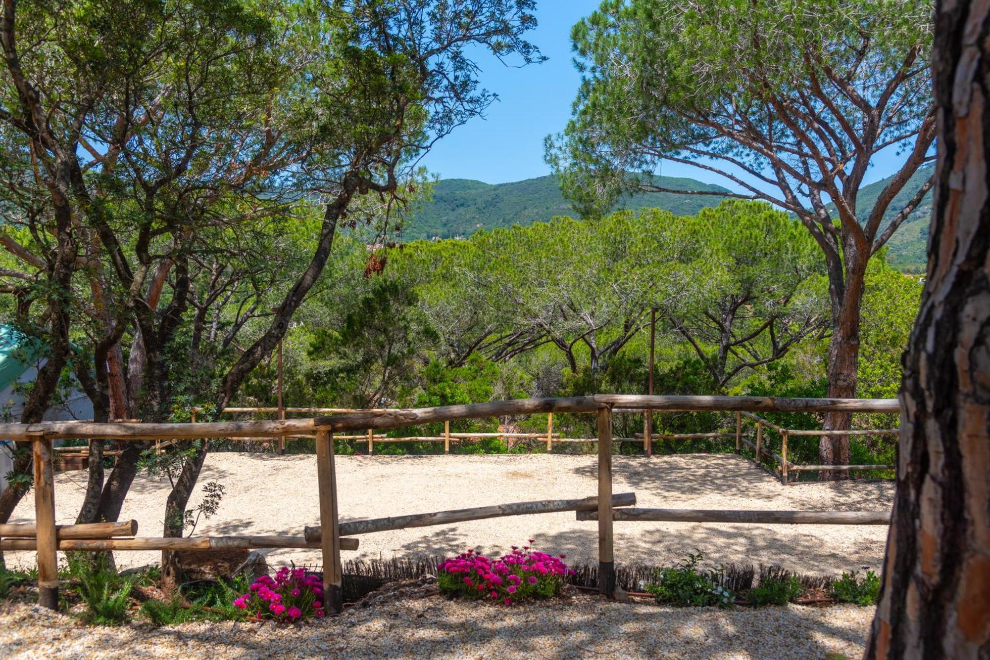 Camping Lacona Pineta Capoliveri  Εξωτερικό φωτογραφία